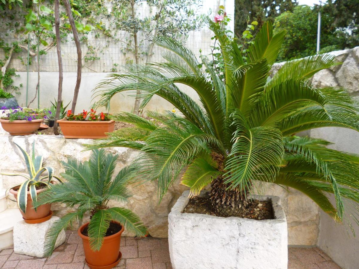 Apartma Jani Hvar Town